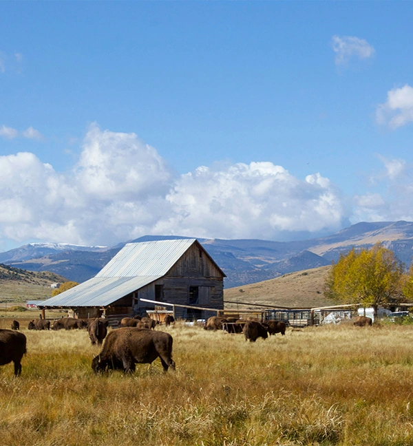 southern colorado