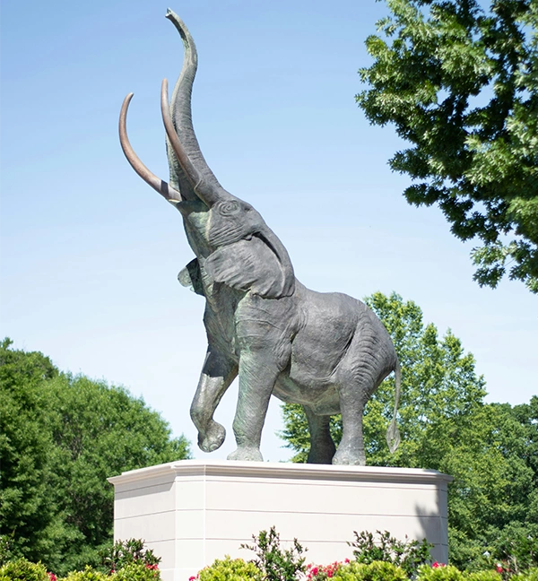 tuscaloosa